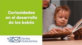 Bebé descubriendo el mundo, etapas del desarrollo del bebé durante su primer año, teniendo el desarrollo motor y cognitivo