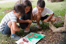 Niños con Club libritos en la hora del planeta promoviendo la sostenibilidad con la lectura, con libros sobre la naturaleza para niños en un lugar al aire libre