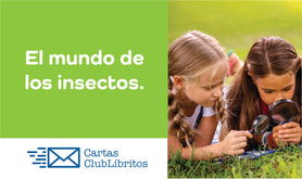 El mundo de los insectos.