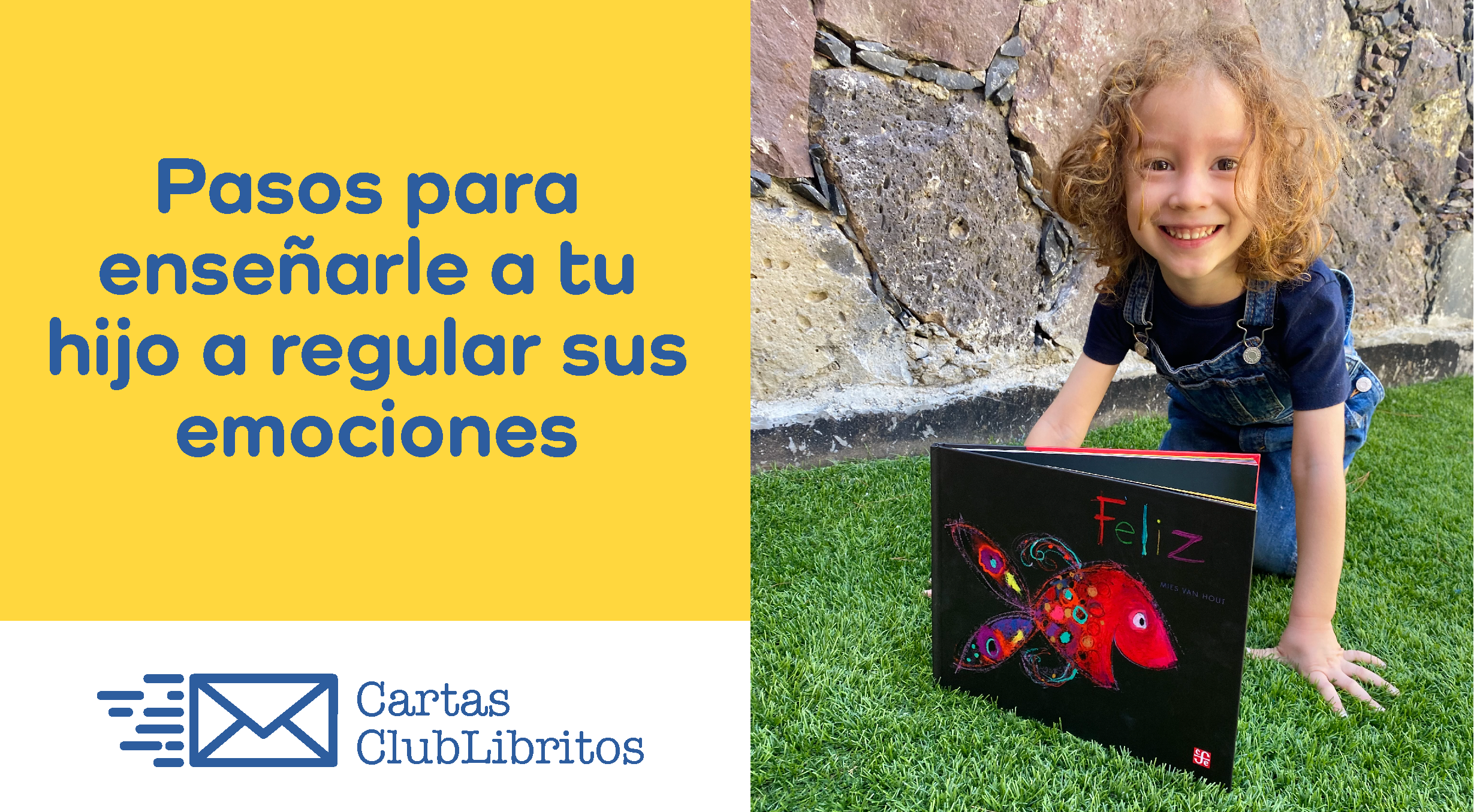 Carta Pedagógica: Pasos para enseñarle a tu hijo a regular sus emocion